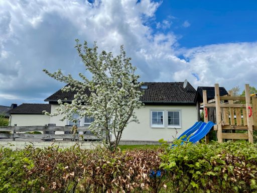 Blick zum Ferienhaus